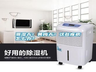 知識百科潮濕天！黃梅天！這些疾病怎么辦？