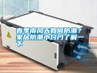 行業新聞春季南風天如何防潮？家居防潮小竅門了解一下