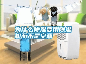 常見問題為什么除濕要用除濕機而不是空調