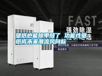 知識百科壁紙也能除甲醛了 功能性壁紙成未來潮流風向標