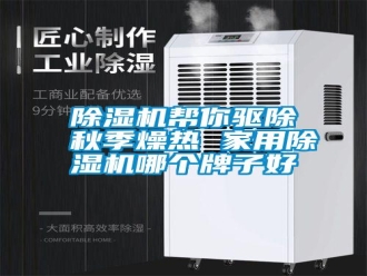 行業新聞除濕機幫你驅除秋季燥熱 家用除濕機哪個牌子好