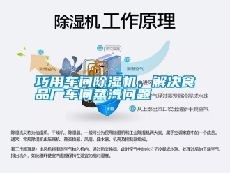 知識百科巧用車間除濕機，解決食品廠車間蒸汽問題