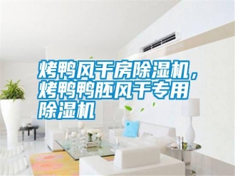 知識百科烤鴨風干房除濕機，烤鴨鴨胚風干專用除濕機