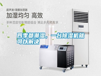 知識(shí)百科四季都潮濕，一臺(tái)除濕機(jī)就可以解決