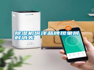 行業新聞除濕機傍洋品牌現象何時消失