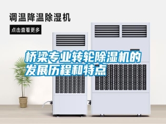 知識百科橋梁專業轉輪除濕機的發展歷程和特點