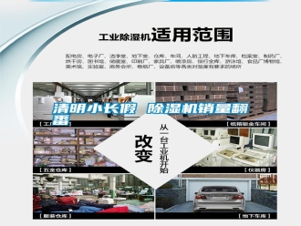 知識百科清明小長假 除濕機銷量翻番