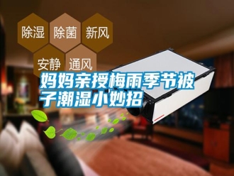 常見問題媽媽親授梅雨季節被子潮濕小妙招