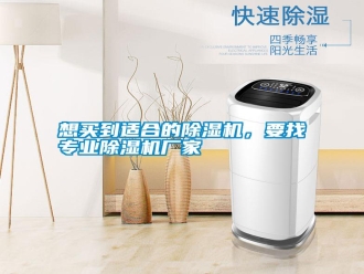 知識百科想買到適合的除濕機，要找專業(yè)除濕機廠家