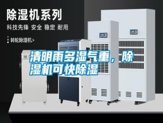 知識百科清明雨多濕氣重，除濕機可快除濕