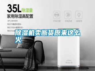 行業新聞除濕機賣斷貨原來這么火