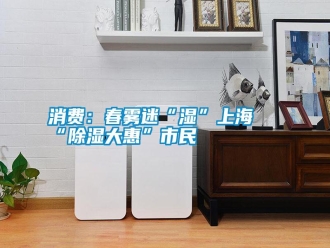 知識百科消費：春霧迷“濕”上海 “除濕大惠”市民