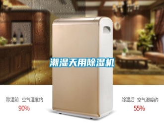 知識(shí)百科潮濕天用除濕機(jī)