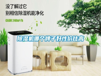 行業(yè)新聞除濕機(jī)哪個(gè)牌子好性價(jià)比高