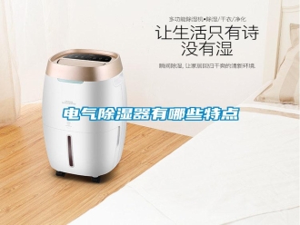 行業新聞電氣除濕器有哪些特點