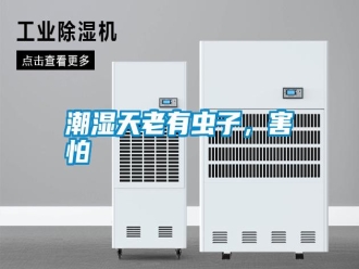 知識(shí)百科潮濕天老有蟲子，害怕