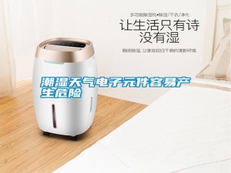 知識(shí)百科潮濕天氣電子元件容易產(chǎn)生危險(xiǎn)