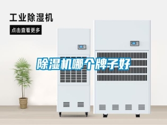 行業(yè)新聞除濕機(jī)哪個(gè)牌子好