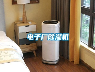 行業(yè)新聞電子廠除濕機