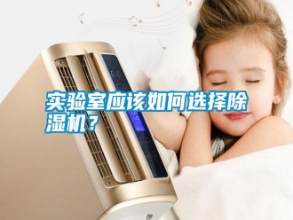 知識百科實驗室應(yīng)該如何選擇除濕機？