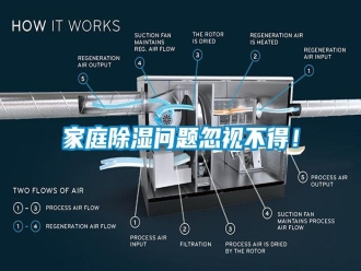 知識百科家庭除濕問題忽視不得！