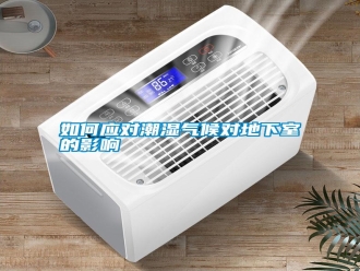 常見問題如何應對潮濕氣候對地下室的影響