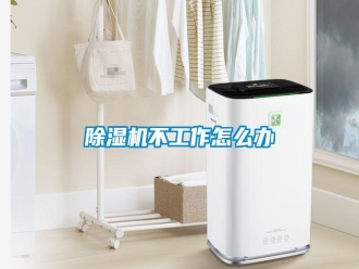 行業新聞除濕機不工作怎么辦