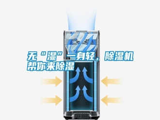 知識百科無“濕”一身輕，除濕機幫你來除濕