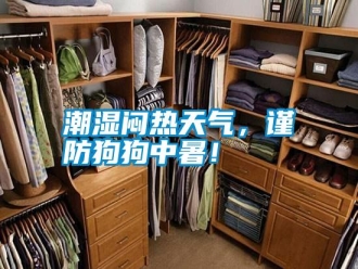 知識(shí)百科潮濕悶熱天氣，謹(jǐn)防狗狗中暑！
