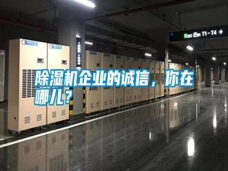 行業(yè)新聞除濕機(jī)企業(yè)的誠(chéng)信，你在哪兒？