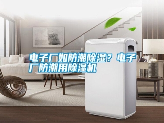 行業(yè)新聞電子廠如防潮除濕？電子廠防潮用除濕機
