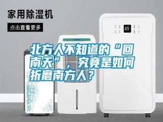 知識百科北方人不知道的“回南天”，究竟是如何折磨南方人？