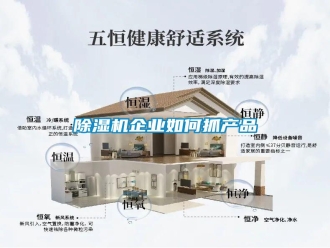 行業新聞除濕機企業如何抓產品