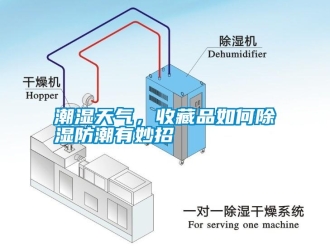 知識(shí)百科潮濕天氣，收藏品如何除濕防潮有妙招
