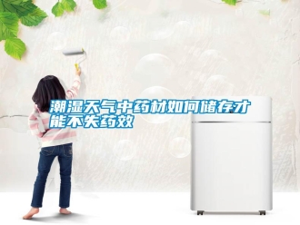 知識百科潮濕天氣中藥材如何儲存才能不失藥效
