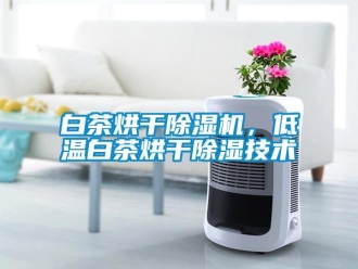 行業(yè)新聞白茶烘干除濕機(jī)，低溫白茶烘干除濕技術(shù)