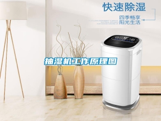 知識百科抽濕機工作原理圖