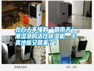 知識百科北方人不懂的“回南天”，潮濕急購活仕除濕機，干爽地板又回來了！