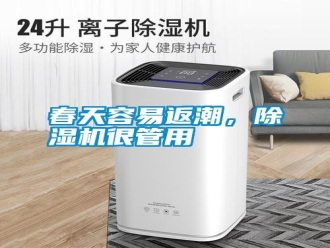 行業新聞春天容易返潮，除濕機很管用