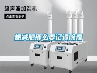 知識百科想減肥那么要記得除濕