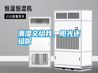 知識百科潮濕交給我，陽光還給你