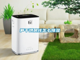 常見問題筍干烘房該怎么排濕