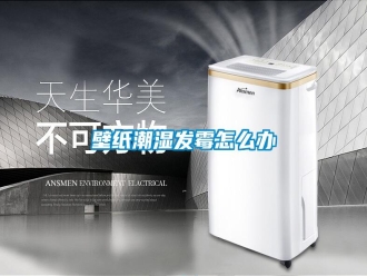 知識百科壁紙潮濕發霉怎么辦