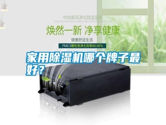 知識百科家用除濕機哪個牌子最好？