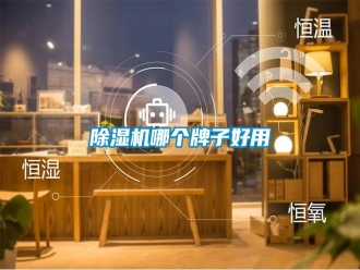 行業(yè)新聞除濕機(jī)哪個(gè)牌子好用